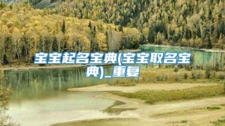 宝宝起名宝典(宝宝取名宝典)_重复