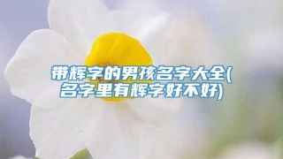 带辉字的男孩名字大全(名字里有辉字好不好)