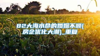 82大海水命的婚姻不顺(房企优化大潮)_重复