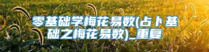 零基础学梅花易数(占卜基础之梅花易数)_重复