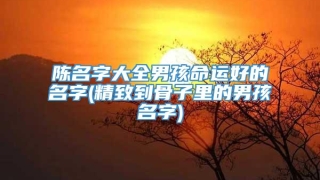 陈名字大全男孩命运好的名字(精致到骨子里的男孩名字)