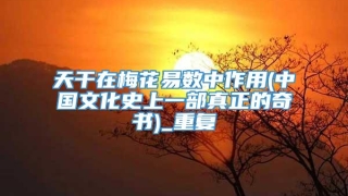 天干在梅花易数中作用(中国文化史上一部真正的奇书)_重复