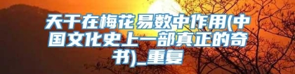 天干在梅花易数中作用(中国文化史上一部真正的奇书)_重复