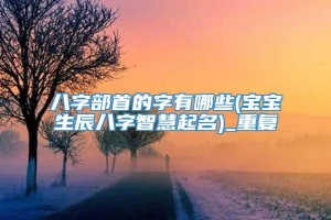 八字部首的字有哪些(宝宝生辰八字智慧起名)_重复