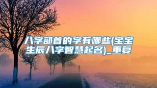 八字部首的字有哪些(宝宝生辰八字智慧起名)_重复