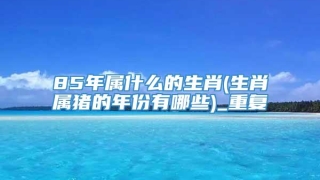 85年属什么的生肖(生肖属猪的年份有哪些)_重复