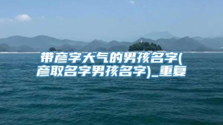 带彦字大气的男孩名字(彦取名字男孩名字)_重复