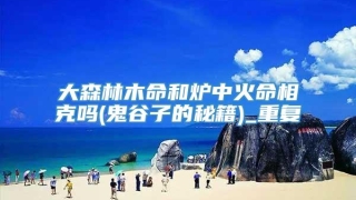 大森林木命和炉中火命相克吗(鬼谷子的秘籍)_重复