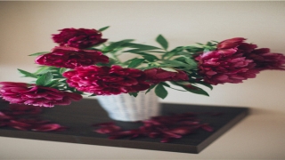 老公宠爱的女人面相特性(什么面相的人有老板相)