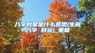 八字财星是什么意思(生辰八字 财运)_重复