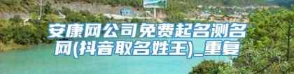安康网公司免费起名测名网(抖音取名姓王)_重复