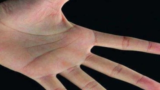 安康网八字免费算命(一生注定无病痛的手相)