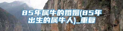 85年属牛的婚姻(85年出生的属牛人)_重复