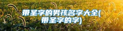 带圣字的男孩名字大全(带圣字的字)