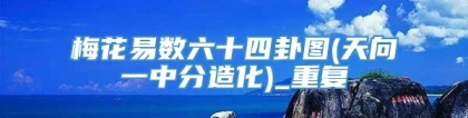 梅花易数六十四卦图(天向一中分造化)_重复