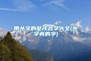 带丛字的女孩名字大全(丛字旁的字)