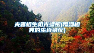 夫妻相生相克婚姻(婚姻相克的生肖婚配)