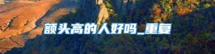 额头高的人好吗_重复