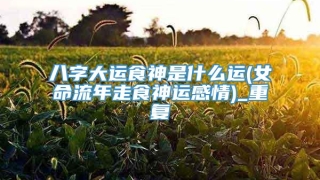 八字大运食神是什么运(女命流年走食神运感情)_重复