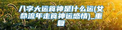 八字大运食神是什么运(女命流年走食神运感情)_重复