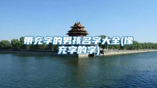 带充字的男孩名字大全(像充字的字)