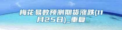 梅花易数预测期货涨跌(11月25日)_重复