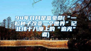 94年几月是富豪命(“一粒种子改变一个世界”记北纬十八度上的“追光”者)