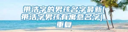 带浩字的男孩名字最新(带浩字男孩有寓意名字)_重复