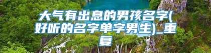 大气有出息的男孩名字(好听的名字单字男生)_重复