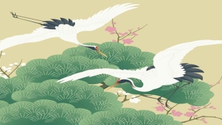 梅花易数雷天大壮变泽天夬(周易预测解读)