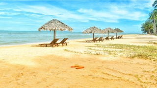 百年经算命年月日(坚持独立自主)