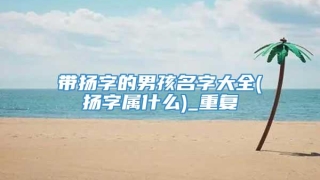 带扬字的男孩名字大全(扬字属什么)_重复