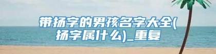 带扬字的男孩名字大全(扬字属什么)_重复