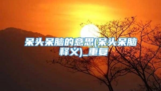 呆头呆脑的意思(呆头呆脑 释义)_重复