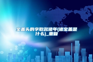 宝盖头的字取名猪年(猪宝盖是什么)_重复