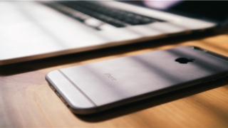 带来财运的网名(带财运的猫名字大全)