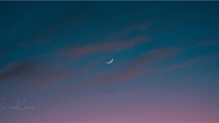 87属兔的一生婚姻状况(十二属相婚姻关系)