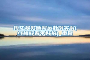 梅花易数断财运卦例实解(红梅好看不好拍)_重复