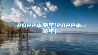 2022本命年(2022本命年)