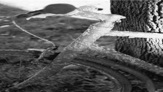 金木水火土相生相克(金木水火土五行相克)