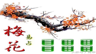 看不懂梅花易数(梅花易数万物类象口诀及外应断事口诀)