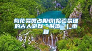 梅花易数占相貌(检验易理的古人游戏“射覆”)_重复