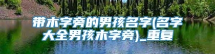 带木字旁的男孩名字(名字大全男孩木字旁)_重复