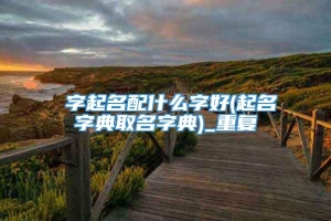 偲字起名配什么字好(起名字典取名字典)_重复