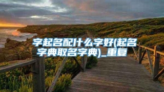 偲字起名配什么字好(起名字典取名字典)_重复