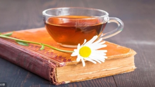 八字短句毒鸡汤(一篇千年鸡汤文)