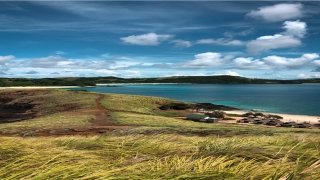 沧字辈怎么起名(带沧字的昵称)