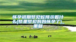 怀孕初期梦见蛇预示着什么(梦里梦见妈妈怀孕了)_重复