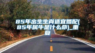 85年出生生肖适宜婚配(85年属牛是什么命)_重复