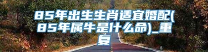85年出生生肖适宜婚配(85年属牛是什么命)_重复